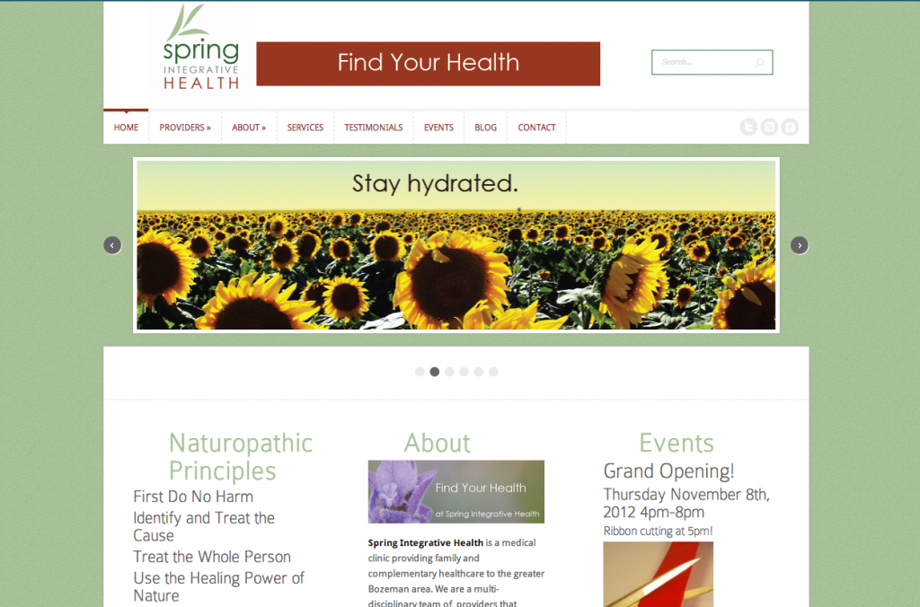 naturopathic clinic website design